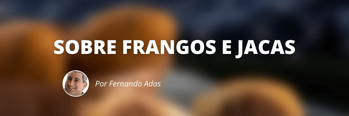 Sobre Frangos e Jacas - Blog Sexta de Ideias - Fine Marketing