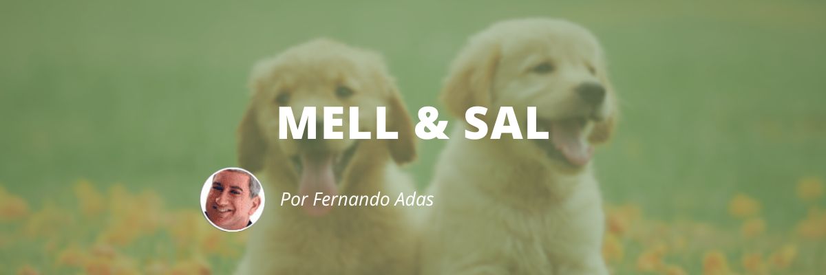 Mell e Sal - Blog Sexta de Ideias - Fine Marketing