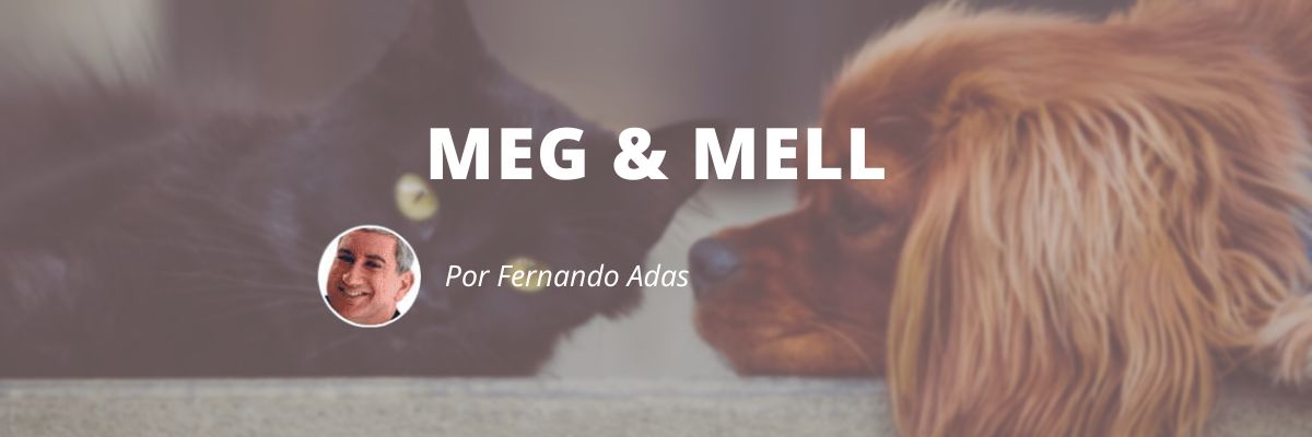 Meg e Mell - Blog Sexta de Ideias - Fine Marketing
