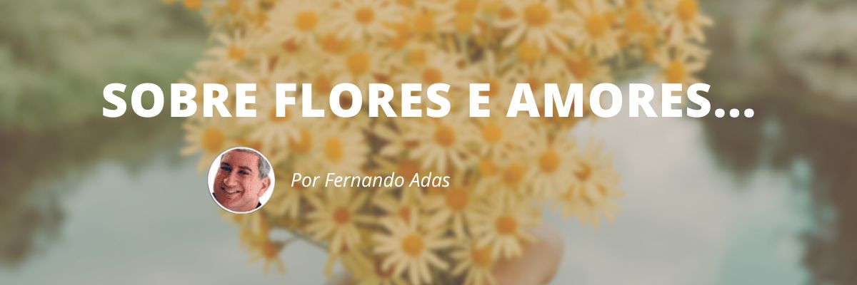 Sobre Flores e Amores - Blog Sexta de Ideias - Fine Marketing