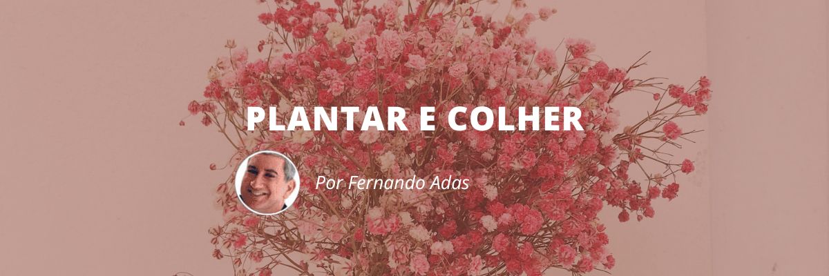 Plantar e Colher - Blog Sexta de Ideias - Fine Marketing