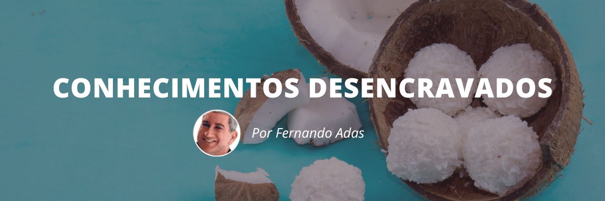 Conhecimentos Desencravados - Blog Sexta de Ideias - Fine Marketing